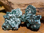 Natural Drusy Chrysocolla Pseudomorph with Stalagmite Malachite x 24 From Lupoto Mine, Congo - Toprock Gemstones and Minerals 