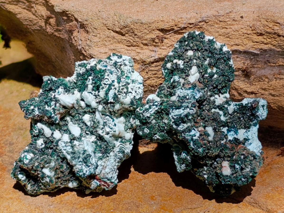 Natural Drusy Chrysocolla Pseudomorph with Stalagmite Malachite x 24 From Lupoto Mine, Congo - Toprock Gemstones and Minerals 