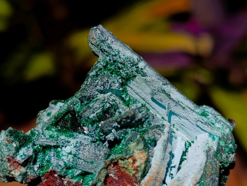 Natural Drusy Chrysocolla Pseudomorph with Stalagmite Malachite x 24 From Lupoto Mine, Congo - Toprock Gemstones and Minerals 