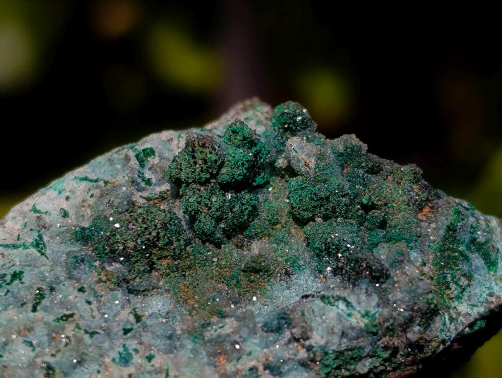 Natural Drusy Chrysocolla Pseudomorph with Stalagmite Malachite x 24 From Lupoto Mine, Congo - Toprock Gemstones and Minerals 