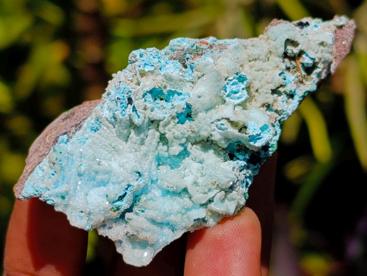 Natural Drusy Chrysocolla Pseudomorph with Stalagmite Malachite x 24 From Lupoto Mine, Congo - Toprock Gemstones and Minerals 