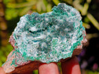 Natural Drusy Chrysocolla Pseudomorph with Stalagmite Malachite x 24 From Lupoto Mine, Congo - Toprock Gemstones and Minerals 
