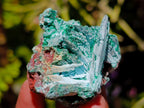 Natural Drusy Chrysocolla Pseudomorph with Stalagmite Malachite x 24 From Lupoto Mine, Congo - Toprock Gemstones and Minerals 