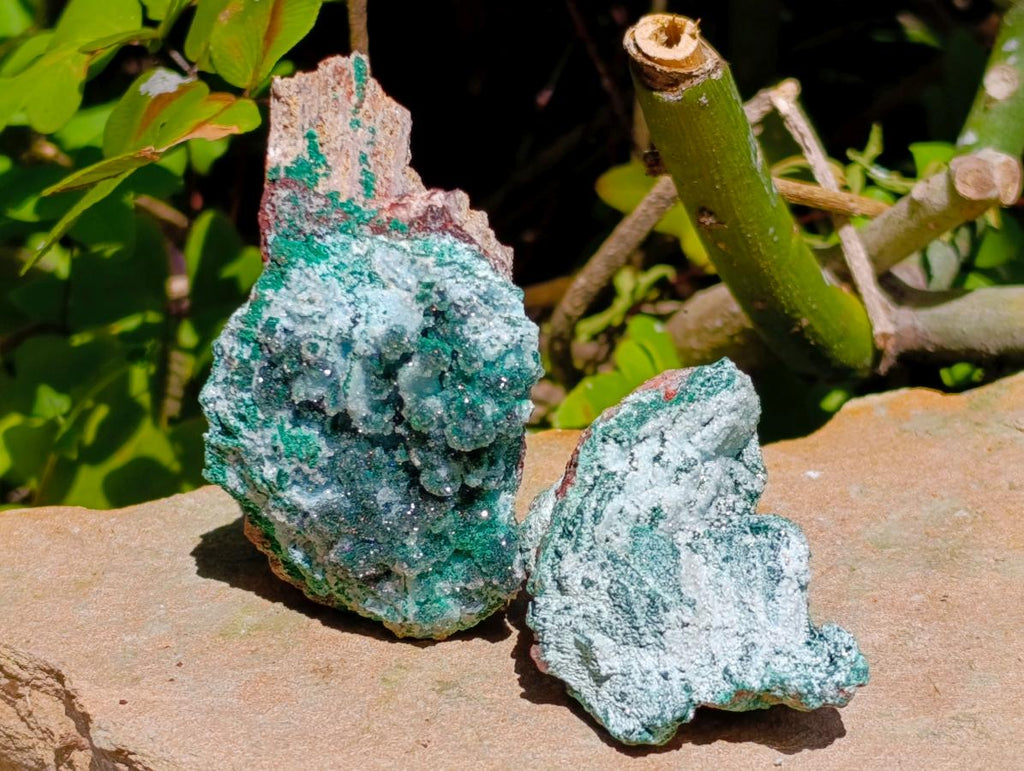 Natural Drusy Chrysocolla Pseudomorph with Stalagmite Malachite x 24 From Lupoto Mine, Congo - Toprock Gemstones and Minerals 