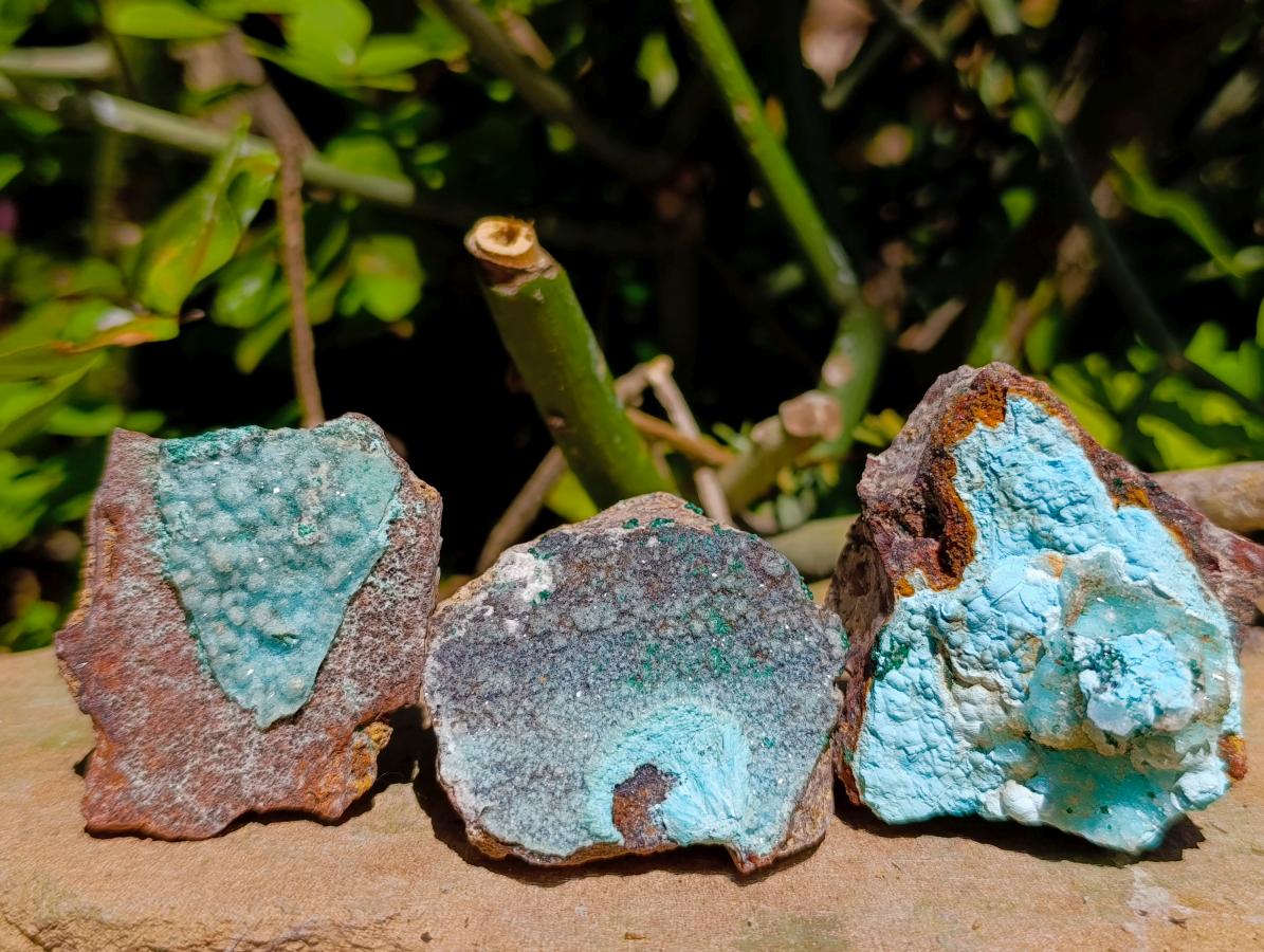 Natural Drusy Chrysocolla Pseudomorph with Stalagmite Malachite x 24 From Lupoto Mine, Congo - Toprock Gemstones and Minerals 