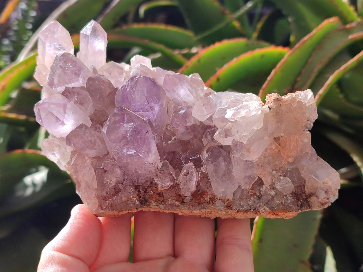 Natural Jacaranda Amethyst Crystal Clusters x 3 From Mumbwa, Zambia - Toprock Gemstones and Minerals 