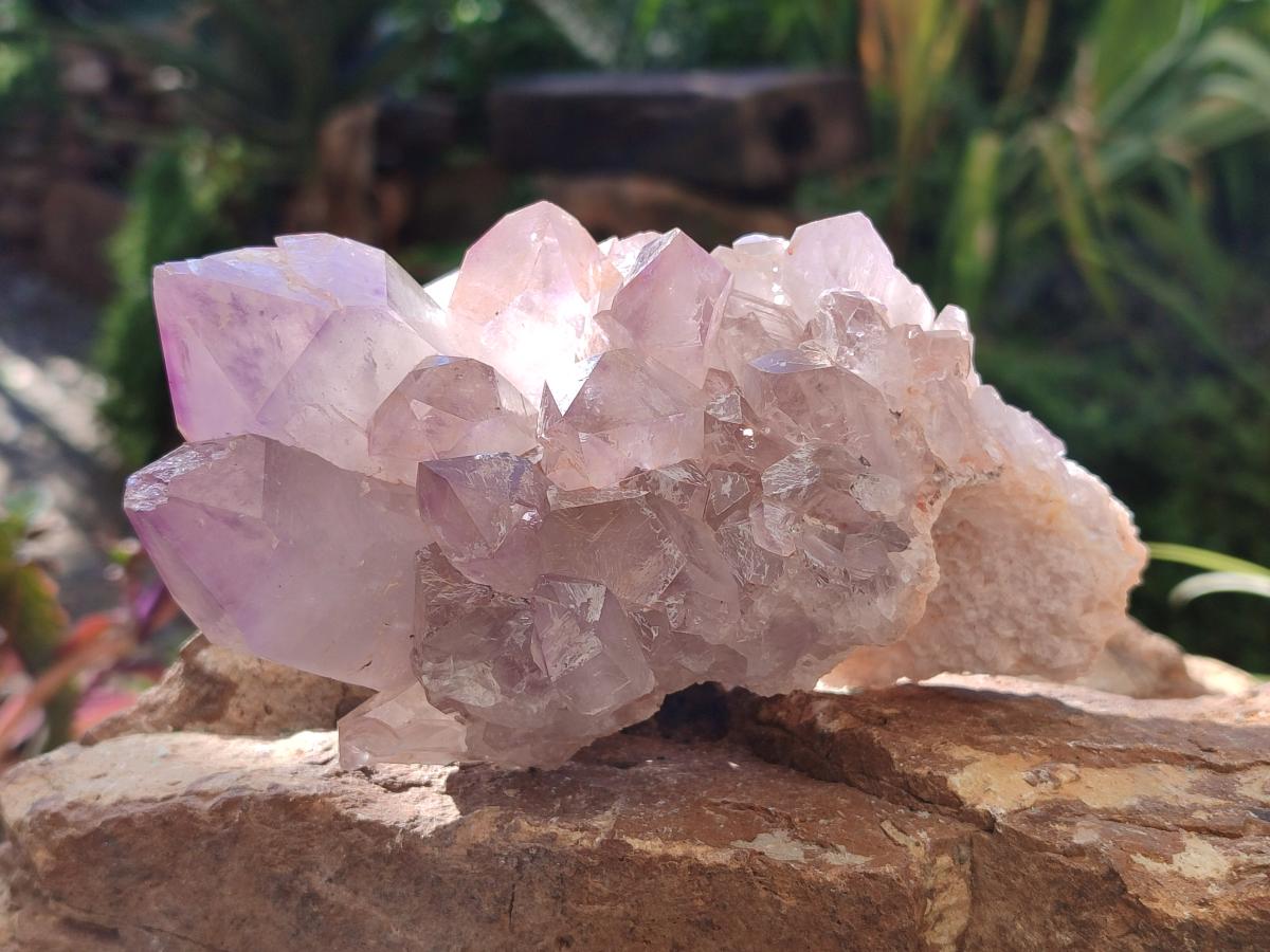Natural Jacaranda Amethyst Crystal Clusters x 3 From Mumbwa, Zambia - Toprock Gemstones and Minerals 