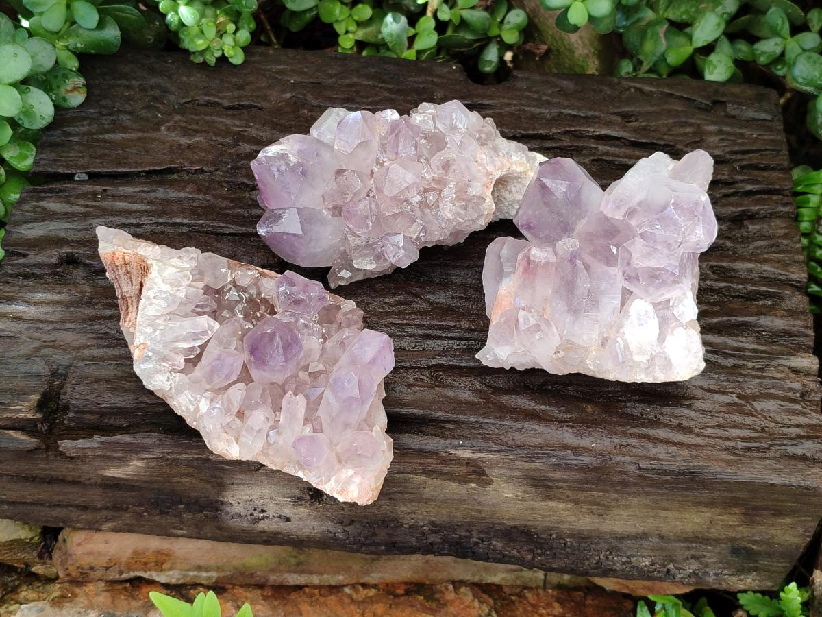 Natural Jacaranda Amethyst Crystal Clusters x 3 From Mumbwa, Zambia - Toprock Gemstones and Minerals 