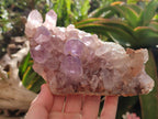 Natural Jacaranda Amethyst Crystal Clusters x 3 From Mumbwa, Zambia - Toprock Gemstones and Minerals 
