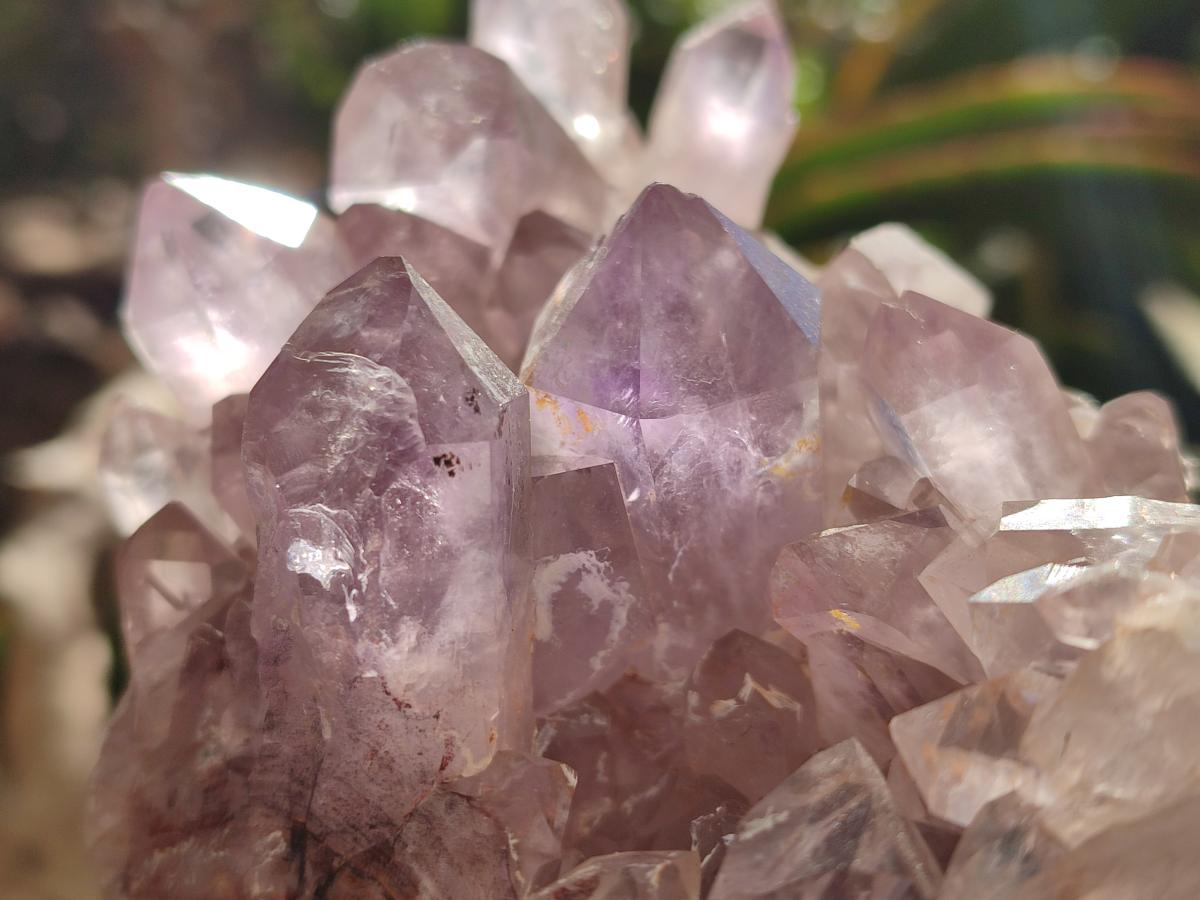 Natural Jacaranda Amethyst Crystal Clusters x 3 From Mumbwa, Zambia - Toprock Gemstones and Minerals 