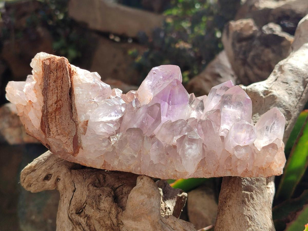 Natural Jacaranda Amethyst Crystal Clusters x 3 From Mumbwa, Zambia - Toprock Gemstones and Minerals 