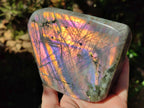 Polished Rare Purple Sunset Flash Labradorite Standing Free Forms x 2 From Madagascar - Toprock Gemstones and Minerals 