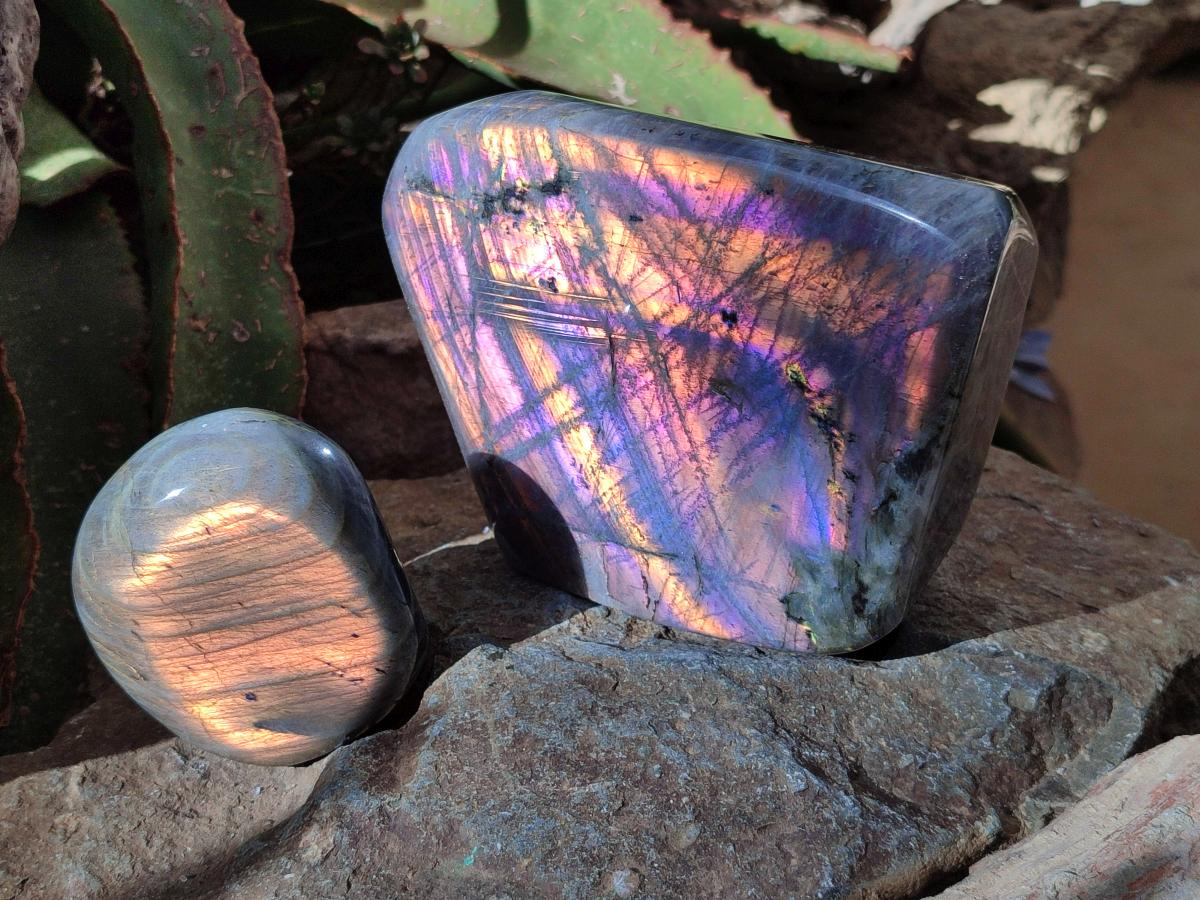 Polished Rare Purple Sunset Flash Labradorite Standing Free Forms x 2 From Madagascar - Toprock Gemstones and Minerals 
