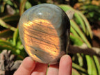 Polished Rare Purple Sunset Flash Labradorite Standing Free Forms x 2 From Madagascar - Toprock Gemstones and Minerals 