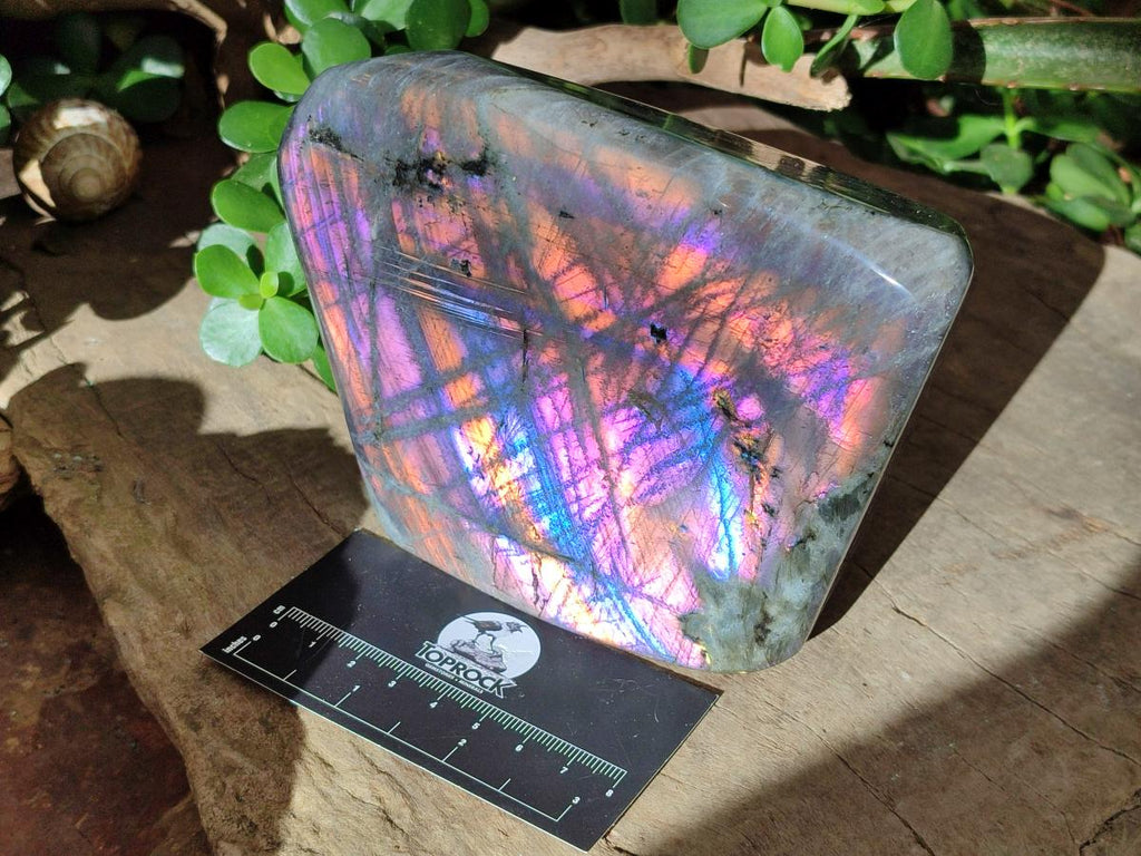 Polished Rare Purple Sunset Flash Labradorite Standing Free Forms x 2 From Madagascar - Toprock Gemstones and Minerals 