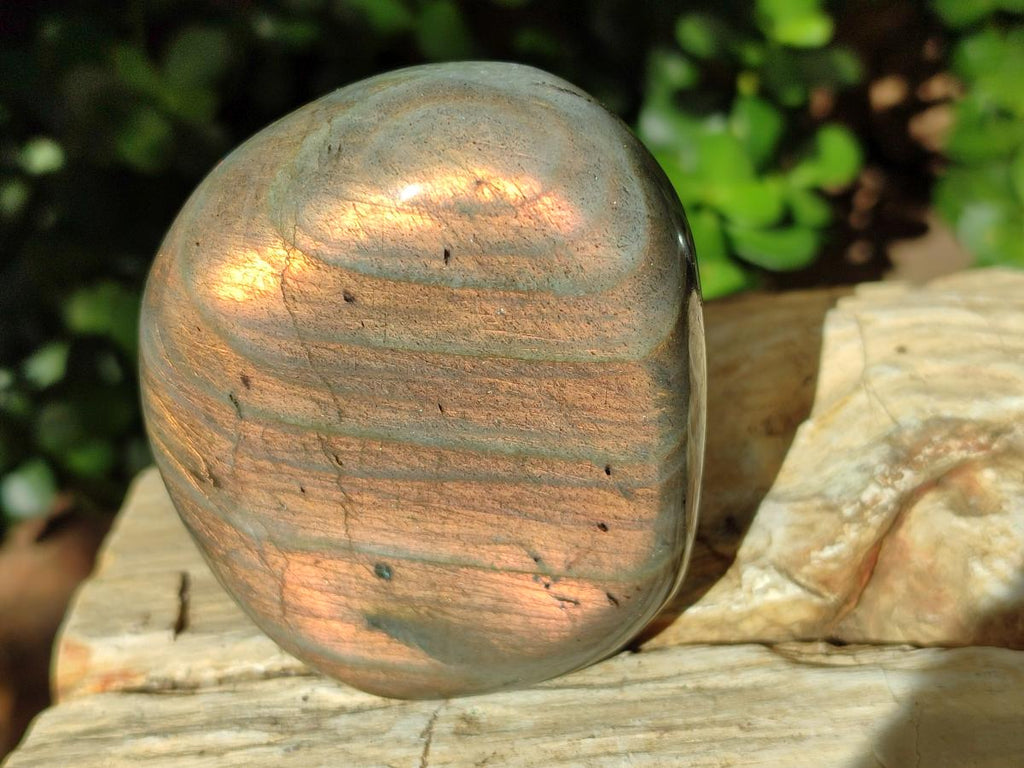 Polished Rare Purple Sunset Flash Labradorite Standing Free Forms x 2 From Madagascar - Toprock Gemstones and Minerals 