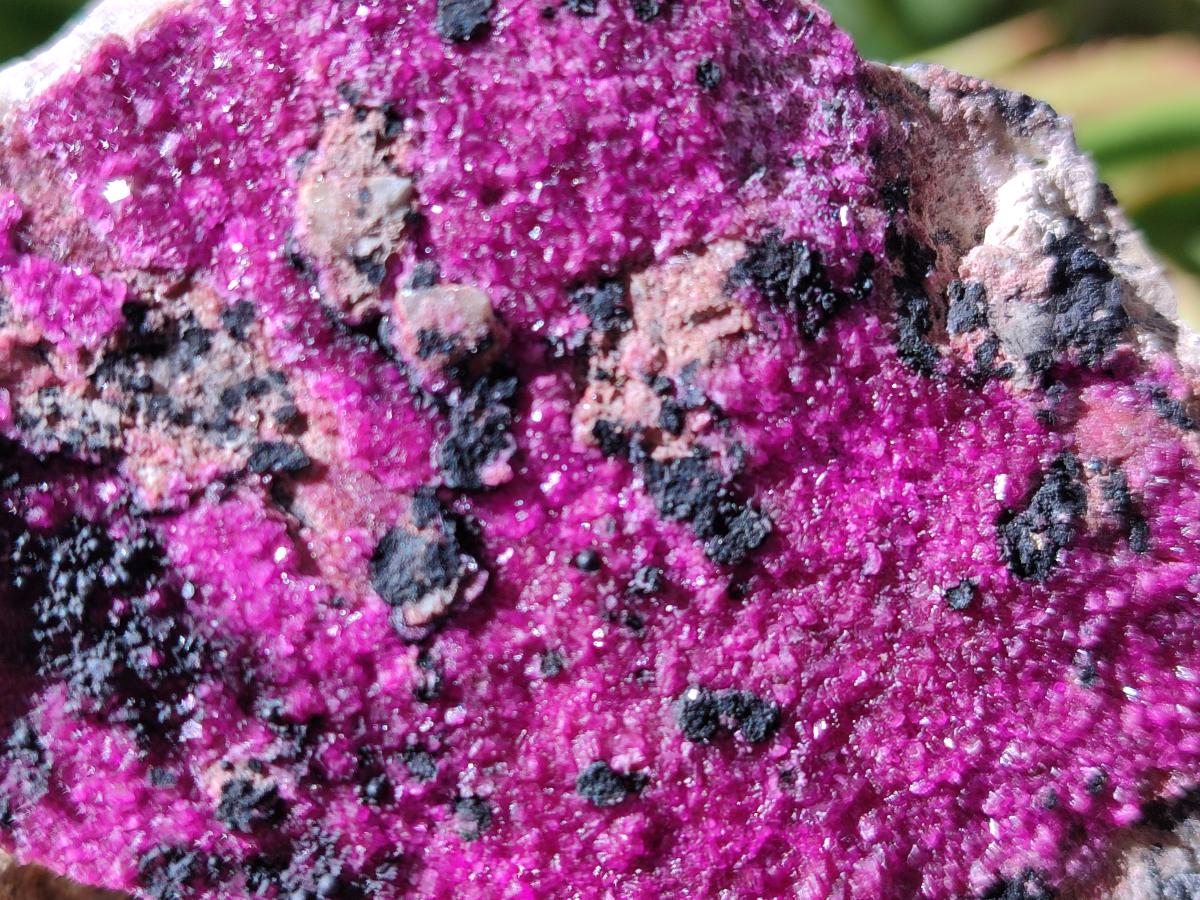 Natural Salrose Cobaltoan Dolomite With Heterogenite Specimens x 6 From Kakanda, Congo - Toprock Gemstones and Minerals 