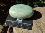 Polished Amazonite Palm Stones and Standing Free Forms x 12 From Zimbabwe - Toprock Gemstones and Minerals 