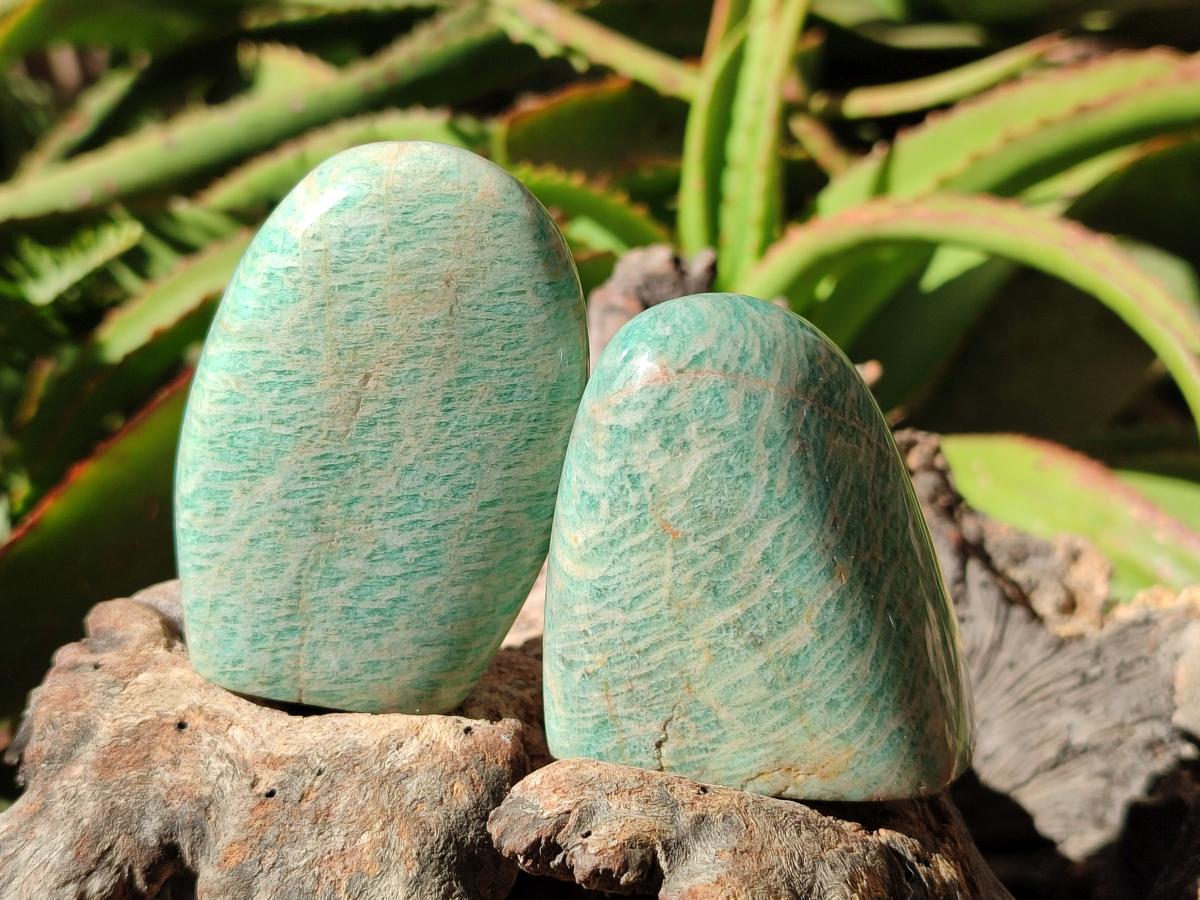 Polished Amazonite Palm Stones and Standing Free Forms x 12 From Zimbabwe - Toprock Gemstones and Minerals 