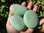 Polished Amazonite Palm Stones and Standing Free Forms x 12 From Zimbabwe - Toprock Gemstones and Minerals 
