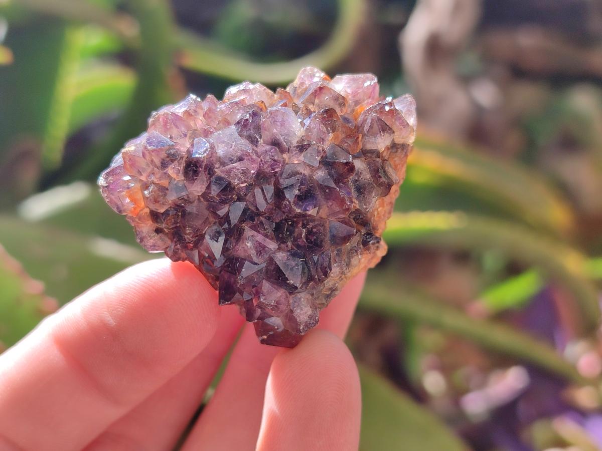 Natural Dark Purple Amethyst Quartz Crystal Plates x 35 From Boekenhouthoek, South Africa - Toprock Gemstones and Minerals 