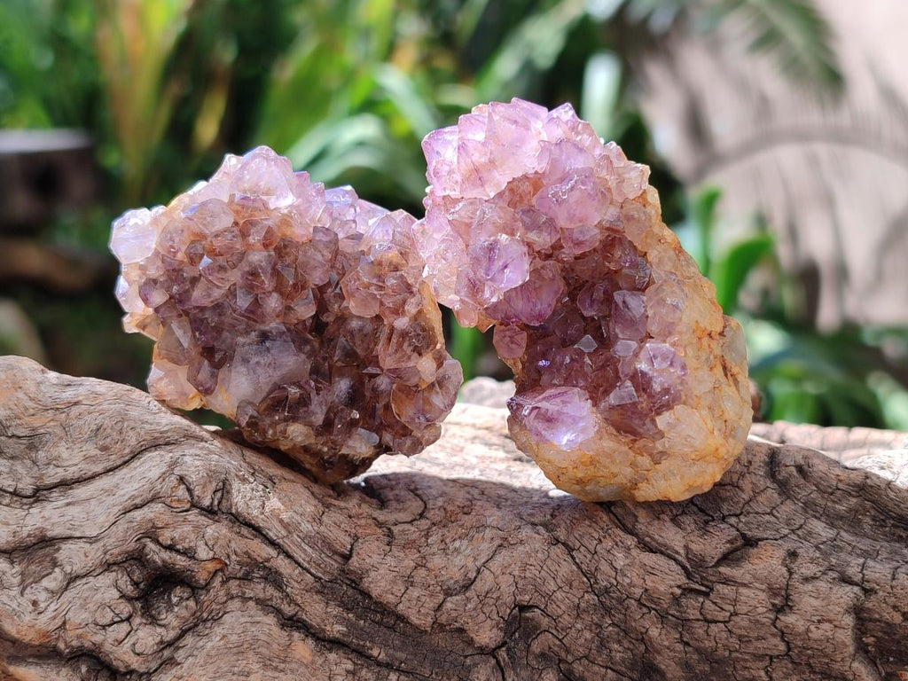 Natural Dark Purple Amethyst Quartz Crystal Plates x 35 From Boekenhouthoek, South Africa - Toprock Gemstones and Minerals 