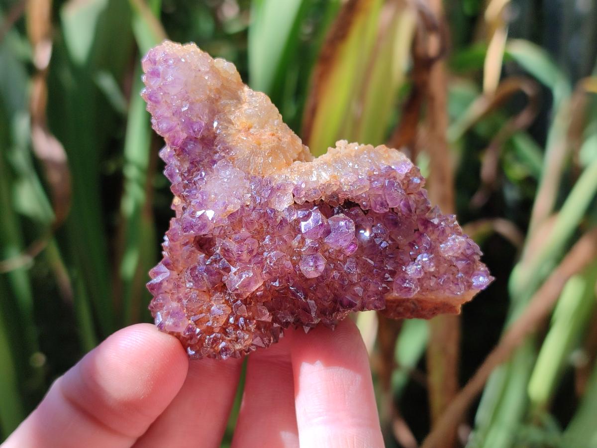 Natural Dark Purple Amethyst Quartz Crystal Plates x 35 From Boekenhouthoek, South Africa - Toprock Gemstones and Minerals 