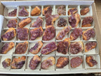Natural Dark Purple Amethyst Quartz Crystal Plates x 35 From Boekenhouthoek, South Africa - Toprock Gemstones and Minerals 