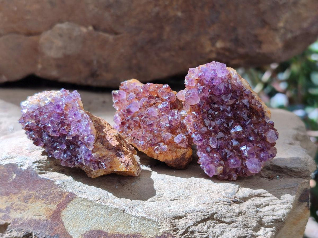 Natural Dark Purple Amethyst Quartz Crystal Plates x 35 From Boekenhouthoek, South Africa - Toprock Gemstones and Minerals 