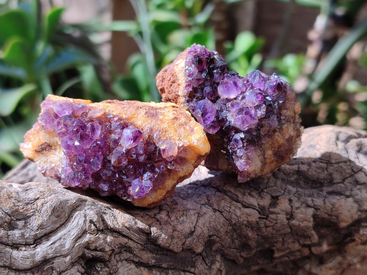 Natural Dark Purple Amethyst Quartz Crystal Plates x 35 From Boekenhouthoek, South Africa - Toprock Gemstones and Minerals 