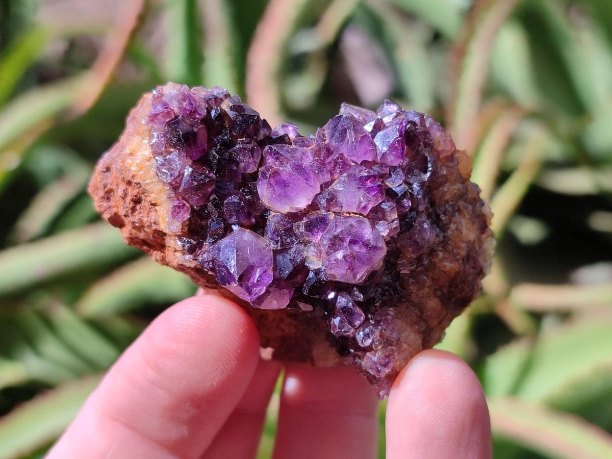 Natural Dark Purple Amethyst Quartz Crystal Plates x 35 From Boekenhouthoek, South Africa - Toprock Gemstones and Minerals 