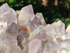 Natural Jacaranda Amethyst Crystal Clusters x 2 From Mumbwa, Zambia - Toprock Gemstones and Minerals 