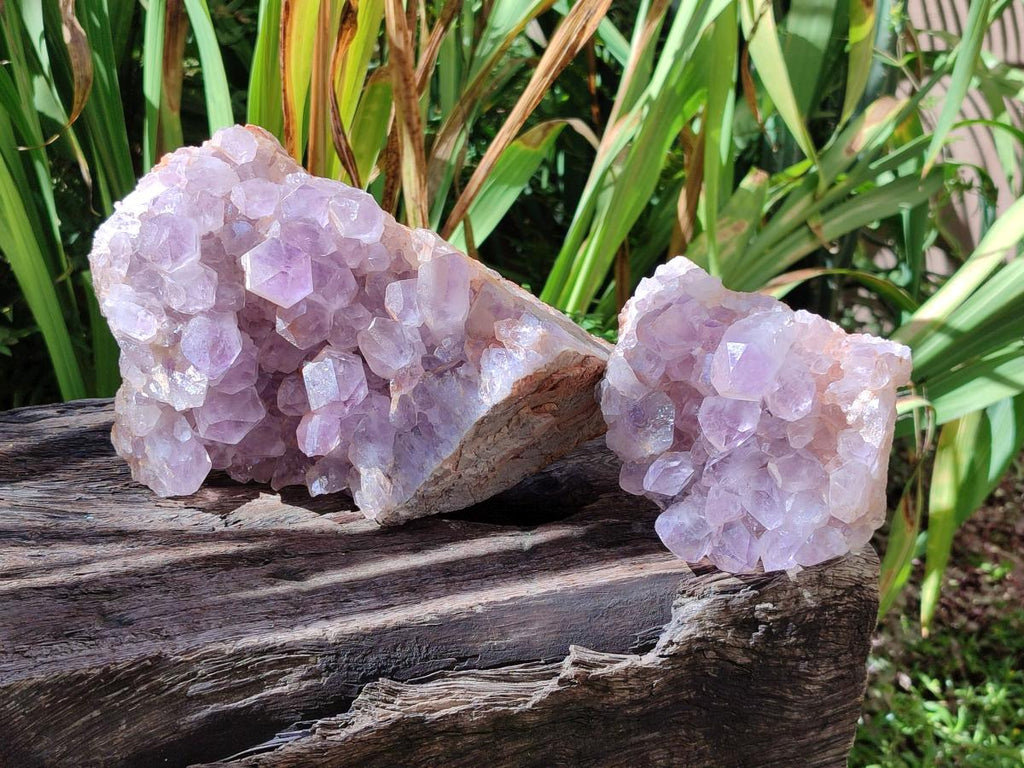 Natural Jacaranda Amethyst Crystal Clusters x 2 From Mumbwa, Zambia - Toprock Gemstones and Minerals 