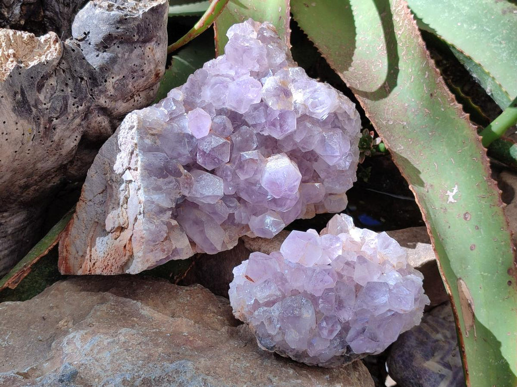 Natural Jacaranda Amethyst Crystal Clusters x 2 From Mumbwa, Zambia - Toprock Gemstones and Minerals 