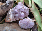 Natural Jacaranda Amethyst Crystal Clusters x 2 From Mumbwa, Zambia - Toprock Gemstones and Minerals 