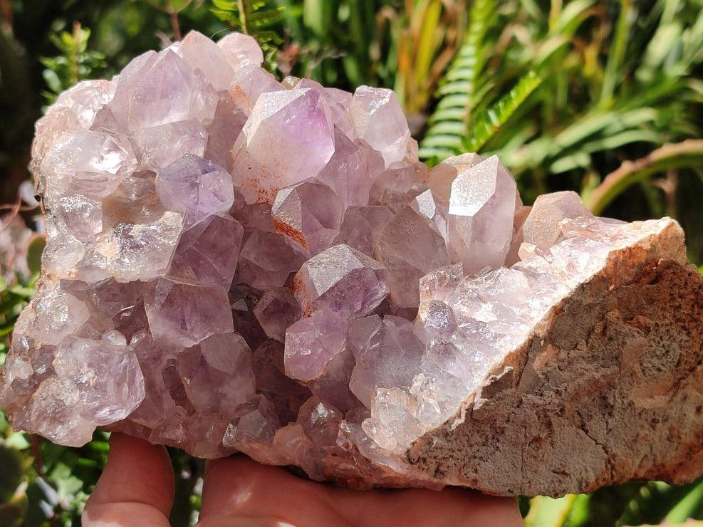Natural Jacaranda Amethyst Crystal Clusters x 2 From Mumbwa, Zambia - Toprock Gemstones and Minerals 