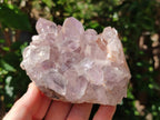 Natural Jacaranda Amethyst Crystal Clusters x 2 From Mumbwa, Zambia - Toprock Gemstones and Minerals 