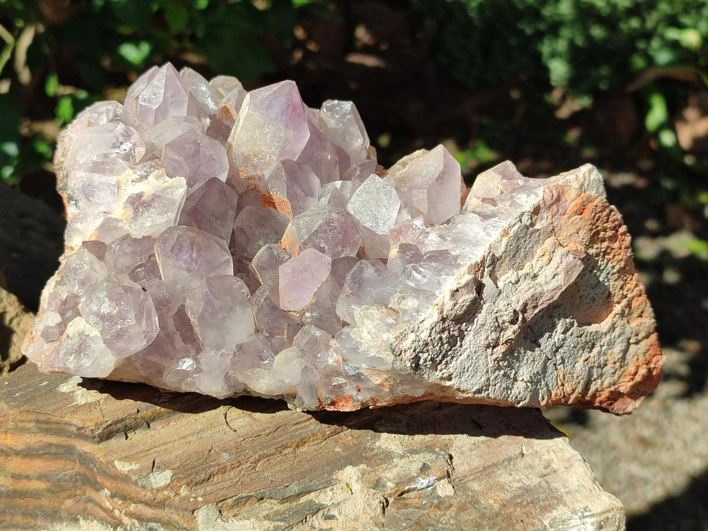 Natural Jacaranda Amethyst Crystal Clusters x 2 From Mumbwa, Zambia - Toprock Gemstones and Minerals 