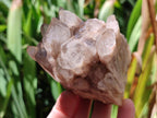 Natural Cascading Smokey Citrine Quartz Clusters x 3 From Luena, Congo - Toprock Gemstones and Minerals 