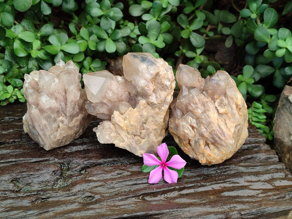Natural Cascading Smokey Citrine Quartz Clusters x 3 From Luena, Congo - Toprock Gemstones and Minerals 