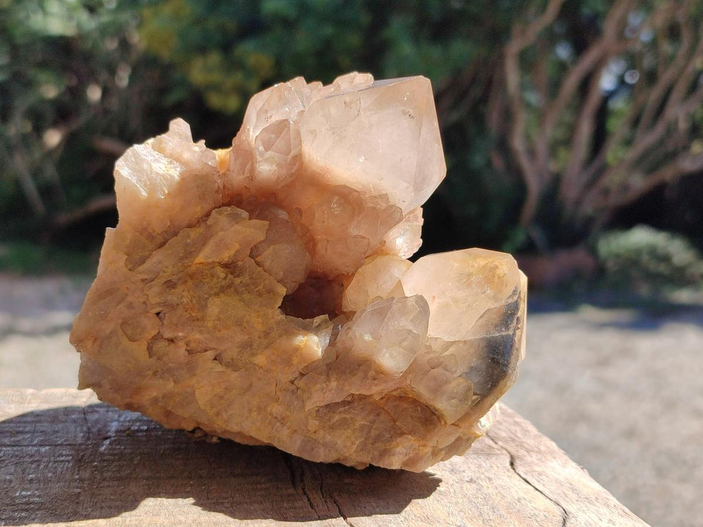 Natural Cascading Smokey Citrine Quartz Clusters x 3 From Luena, Congo - Toprock Gemstones and Minerals 