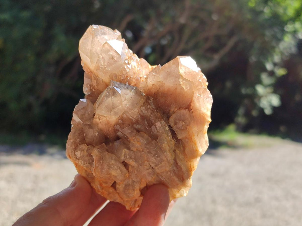 Natural Cascading Smokey Citrine Quartz Clusters x 3 From Luena, Congo - Toprock Gemstones and Minerals 