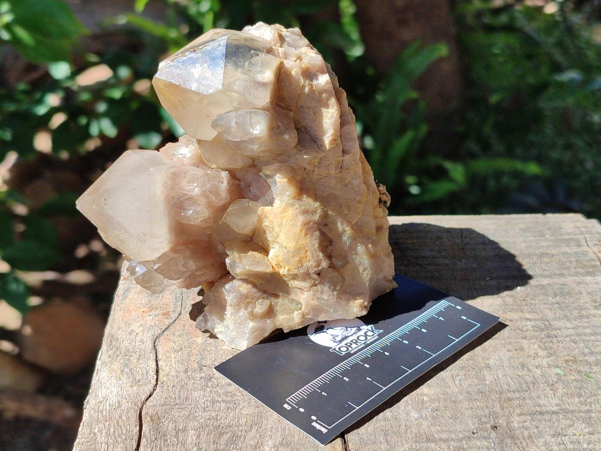 Natural Cascading Smokey Citrine Quartz Clusters x 3 From Luena, Congo - Toprock Gemstones and Minerals 