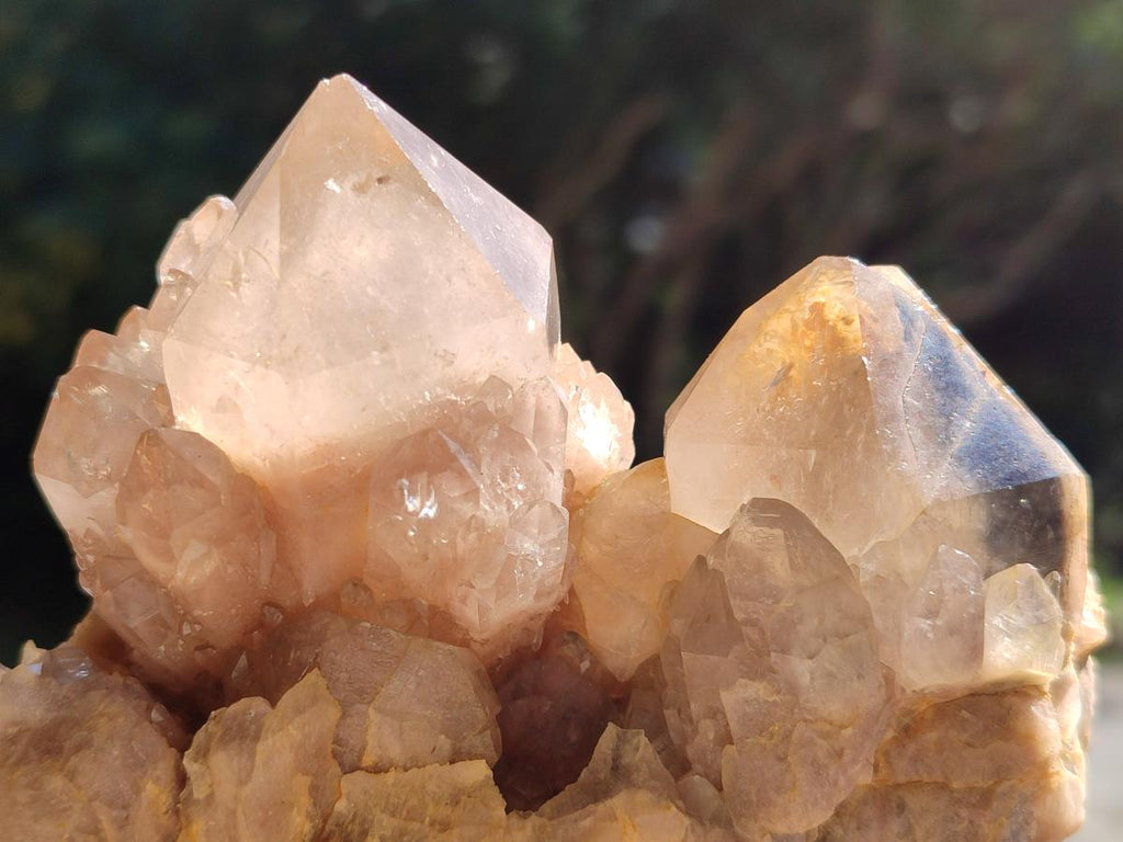 Natural Cascading Smokey Citrine Quartz Clusters x 3 From Luena, Congo - Toprock Gemstones and Minerals 
