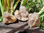 Natural Cascading Smokey Citrine Quartz Clusters x 3 From Luena, Congo - Toprock Gemstones and Minerals 