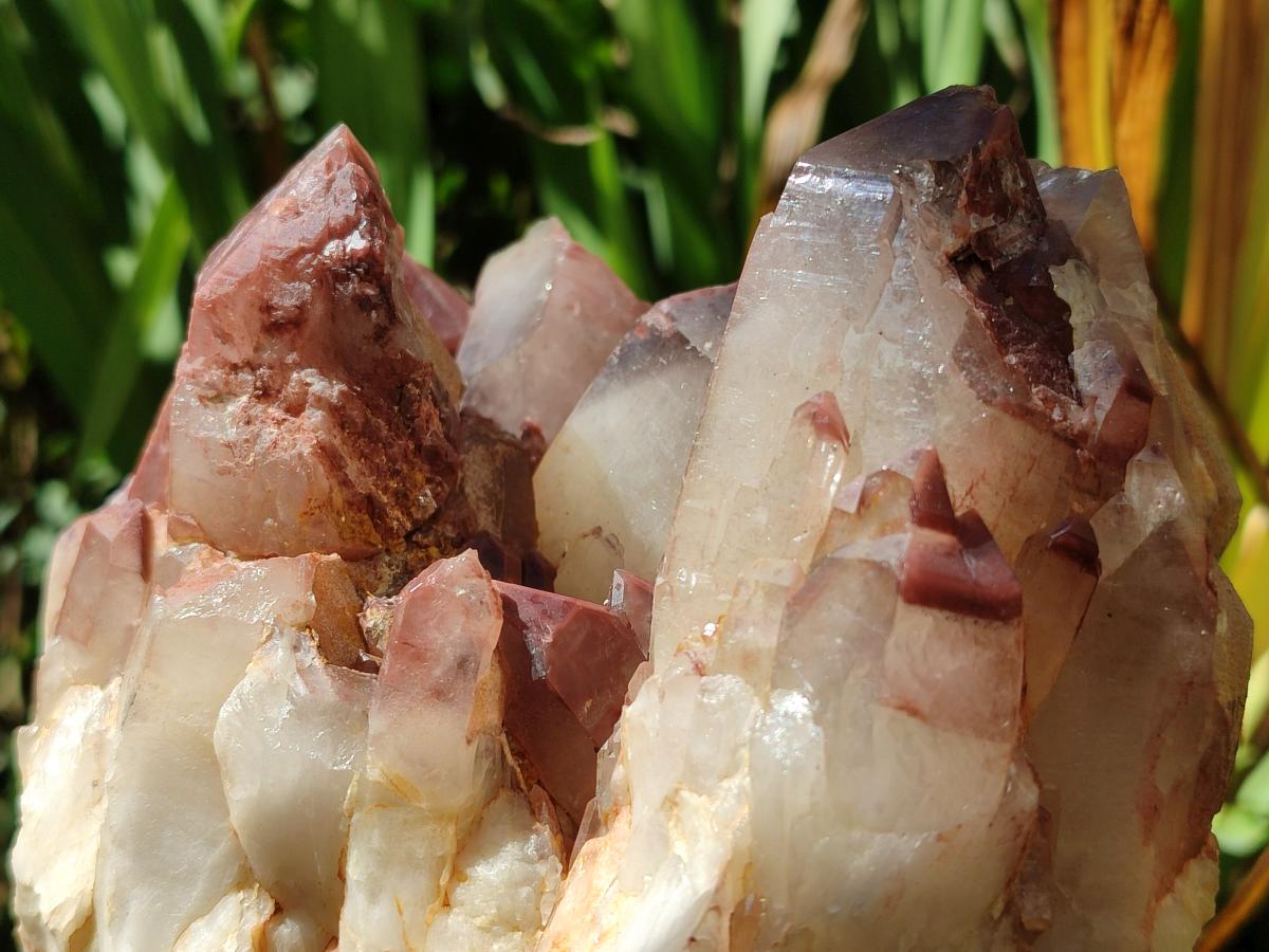 Natural Large Red Hematoid Quartz Crystal Cluster x 1 From Karoi, Zimbabwe - Toprock Gemstones and Minerals 