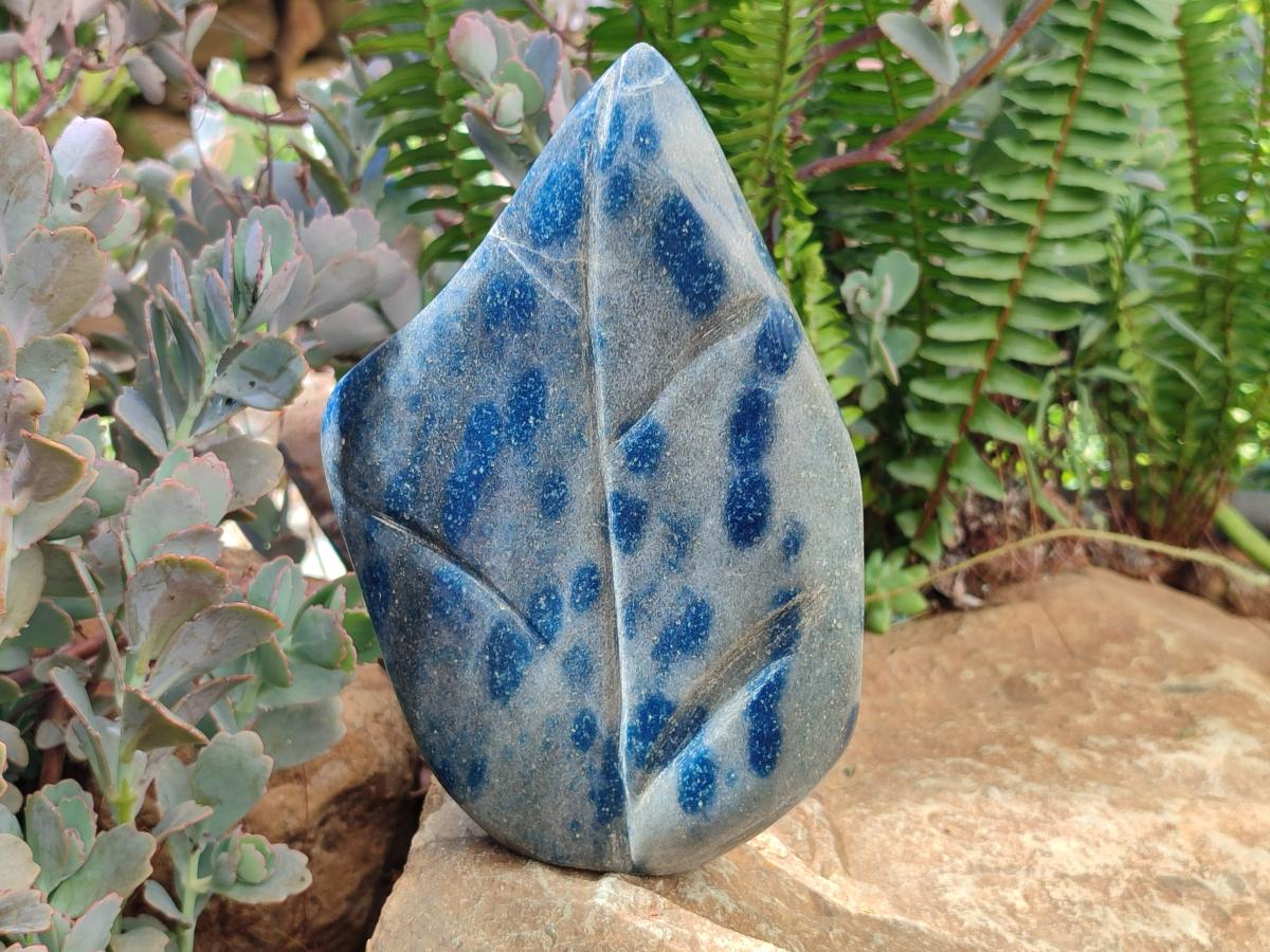 Polished Large Blue Spotted Spinel Standing Free Form Leaf x 1 From Madagascar - Toprock Gemstones and Minerals 