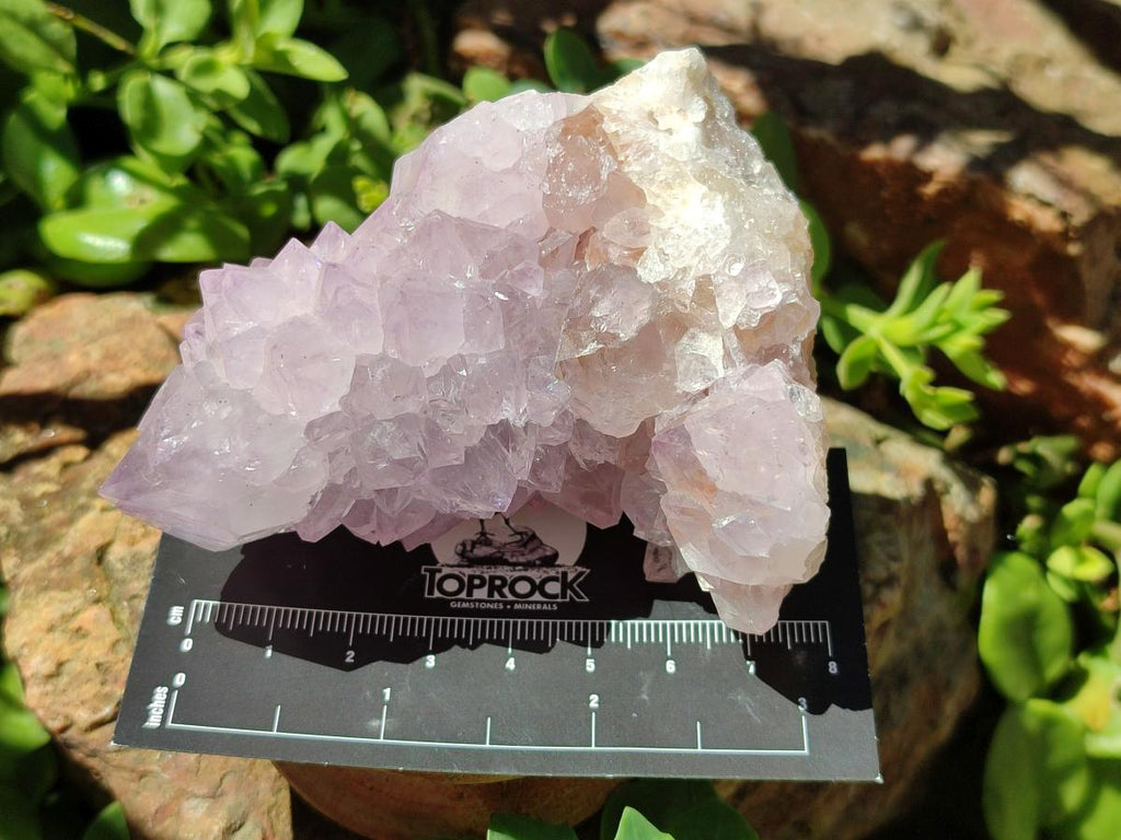 Natural Lilac Amethyst Spirit Quartz Clusters x 6 From Boekenhouthoek, South Africa - Toprock Gemstones and Minerals 
