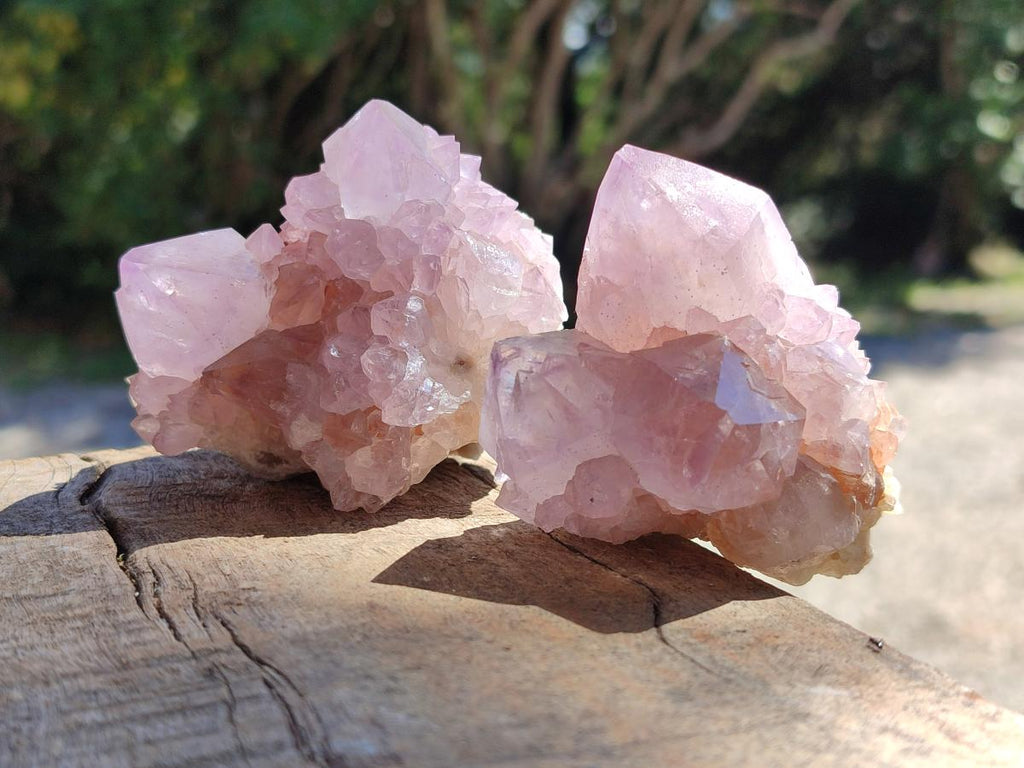 Natural Lilac Amethyst Spirit Quartz Clusters x 6 From Boekenhouthoek, South Africa - Toprock Gemstones and Minerals 