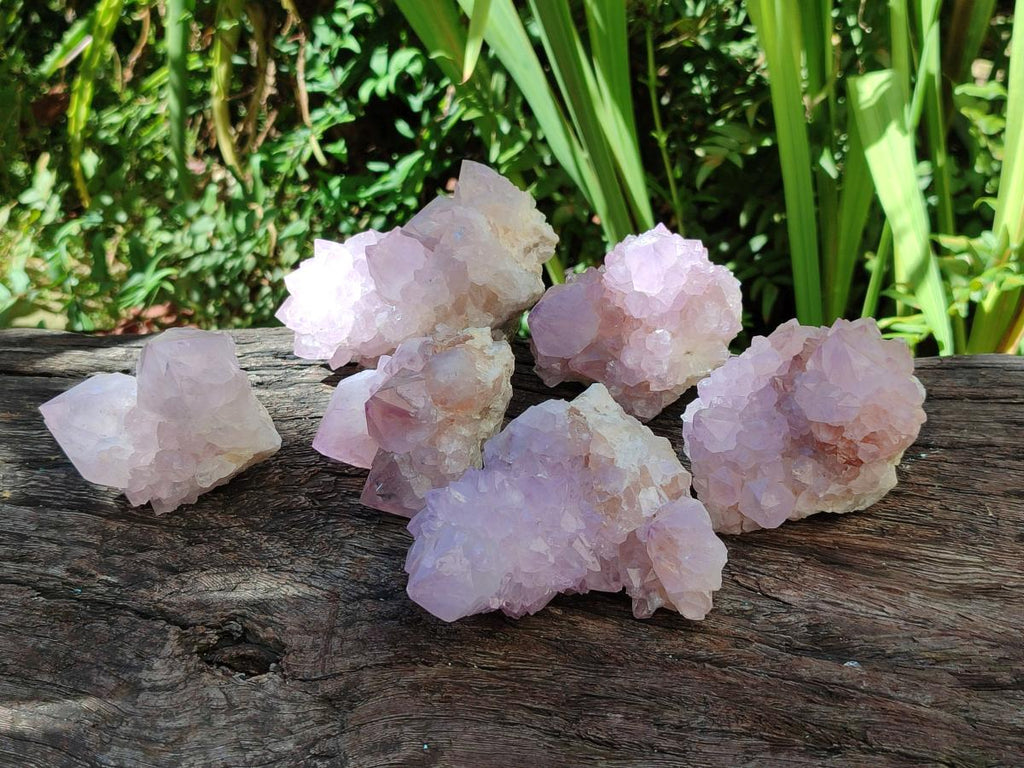 Natural Lilac Amethyst Spirit Quartz Clusters x 6 From Boekenhouthoek, South Africa - Toprock Gemstones and Minerals 